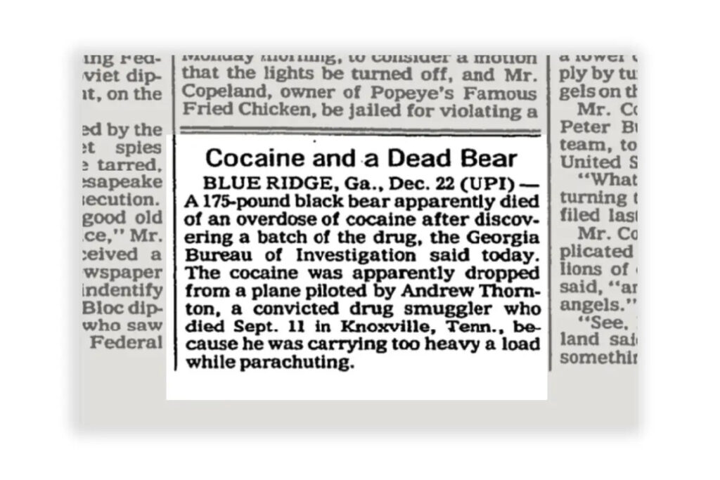 تغطية جريدة يونايتد برس انترناشونال لخبر دب الكوكايين في ديسمبر 1985