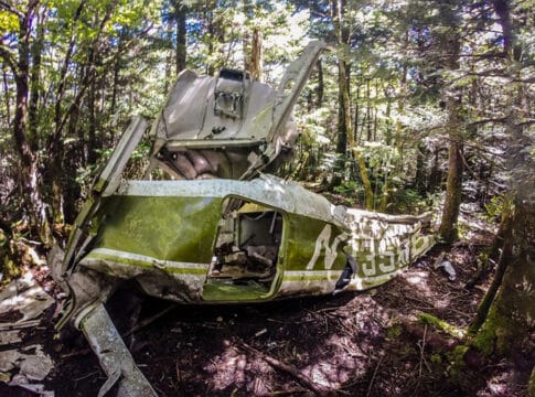 معجزة الأطفال الأربعة في غابات الأمازون