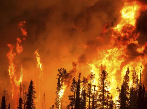 المناخ يتغير إلى الأسوأ … ماذا يخبئ لنا المستقبل؟