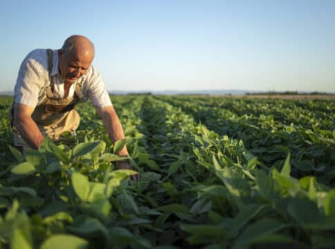 الزراعة… 8.5% من انبعاثات الغاز الدفيئة بسببها